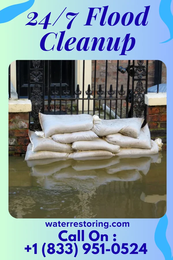 24/7 Flood Cleanup in Baywood, VA