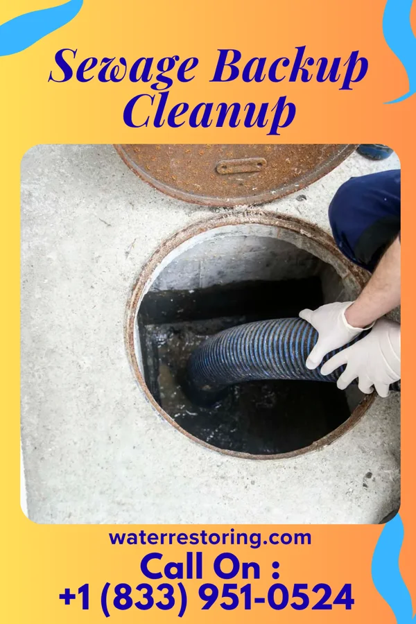Sewage Backup Cleanup in Baywood, VA