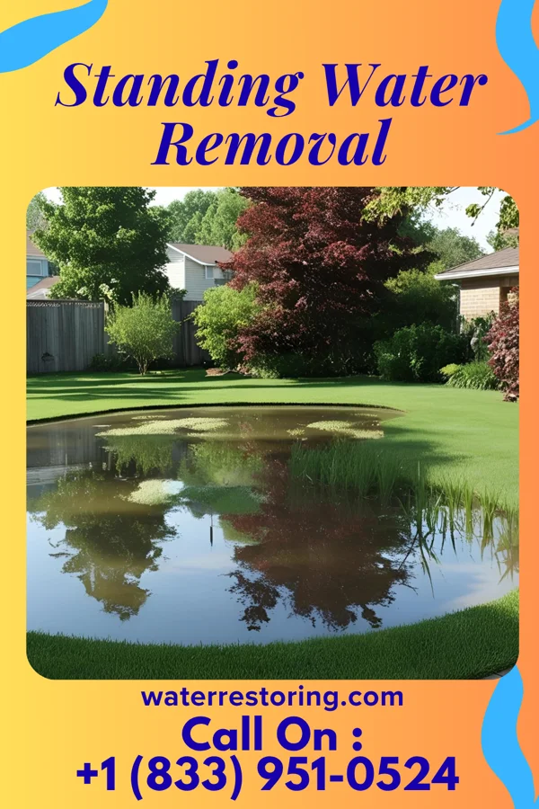 Standing Water Removal in Baywood, VA